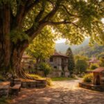 The Story of Ракитовица: Surprising Facts & Local History